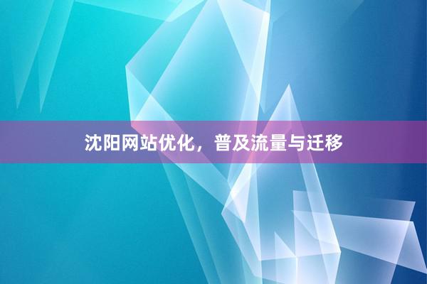 沈阳网站优化，普及流量与迁移